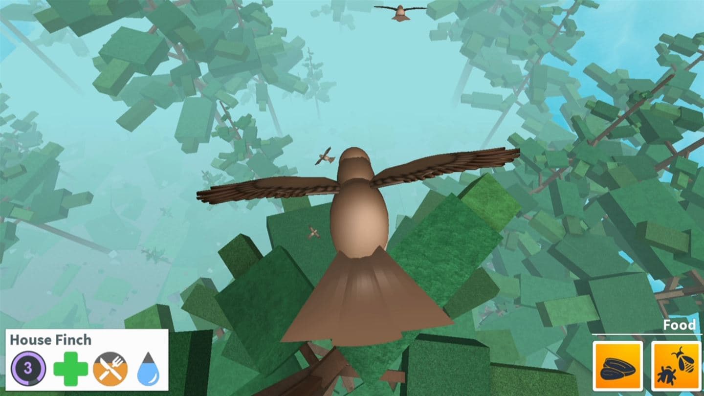 Roblox screenshot 2